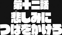 第十ニ話予告(15秒ver.)